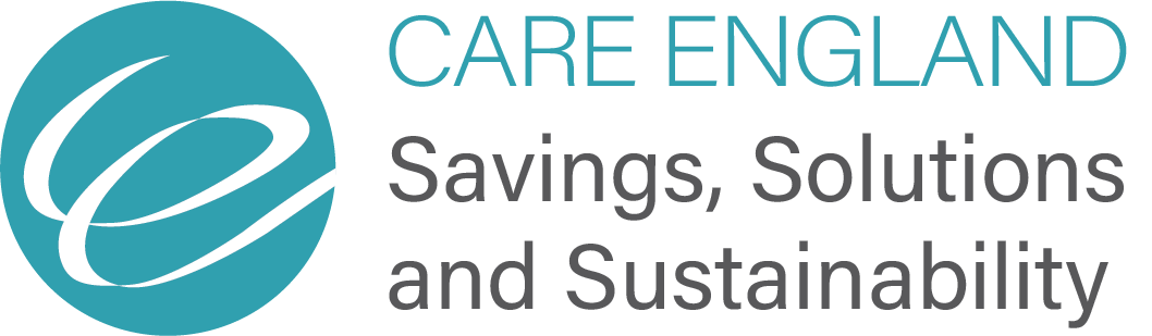 CE Savings Solutions Sustainability Logo 2