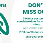 24-hour Postural Care Considerations for the Bariatric Client