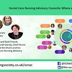 Social Care Nursing Advisory Councils: Where are we now?