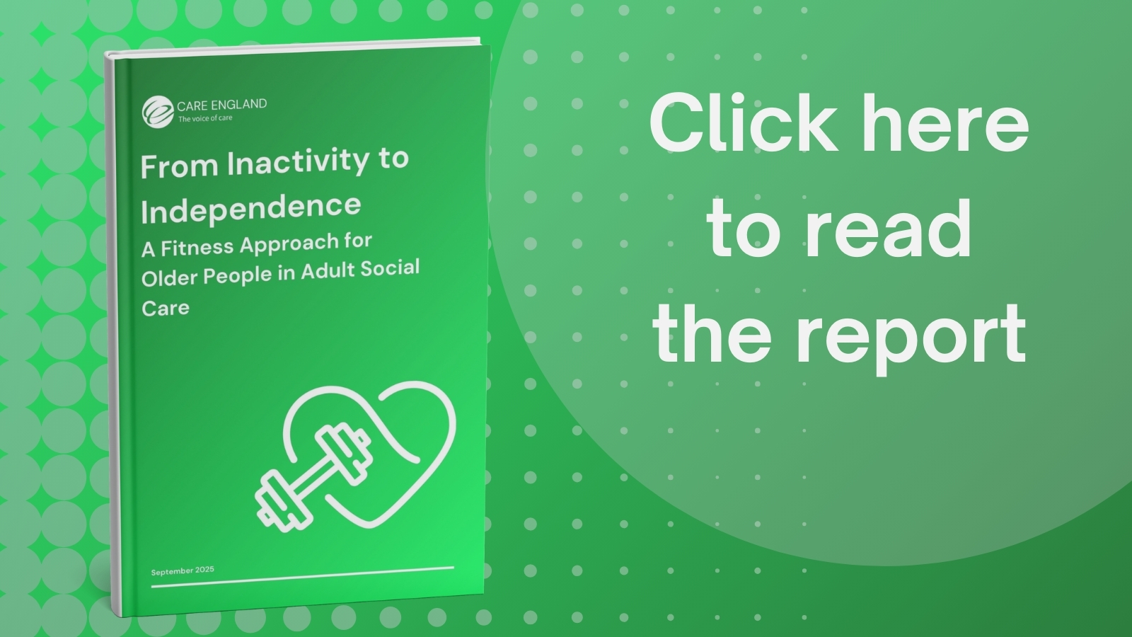 report covers