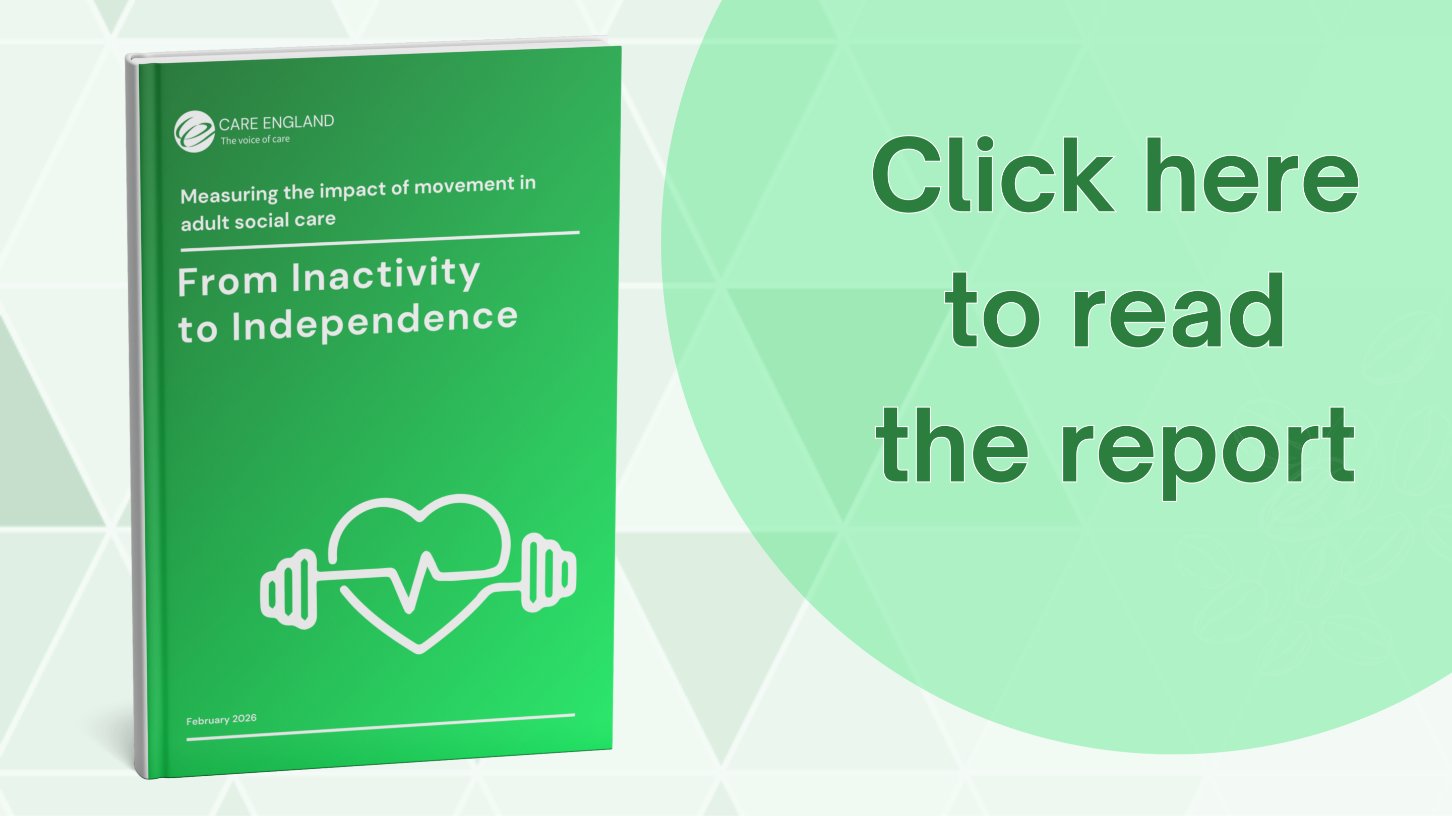 report covers 1 scaled